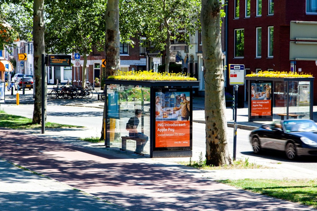 Dois pontos de ônibus com coberturas verdes, um de cada lado de rua