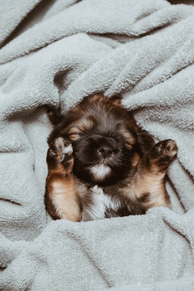 toalha-de-banho-ideal-casa.com-6-unsplash-Isabela-kronemberger toalha-de-banho-ideal-casa.com-6-unsplash-Isabela-kronemberger