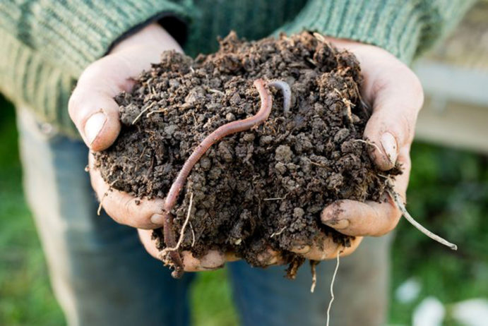 Passo-a-passo-para-preparar-o-solo-das-suas-plantinhas-02