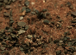 Passo-a-passo-para-preparar-o-solo-das-suas-plantinhas-03 Passo-a-passo-para-preparar-o-solo-das-suas-plantinhas-03