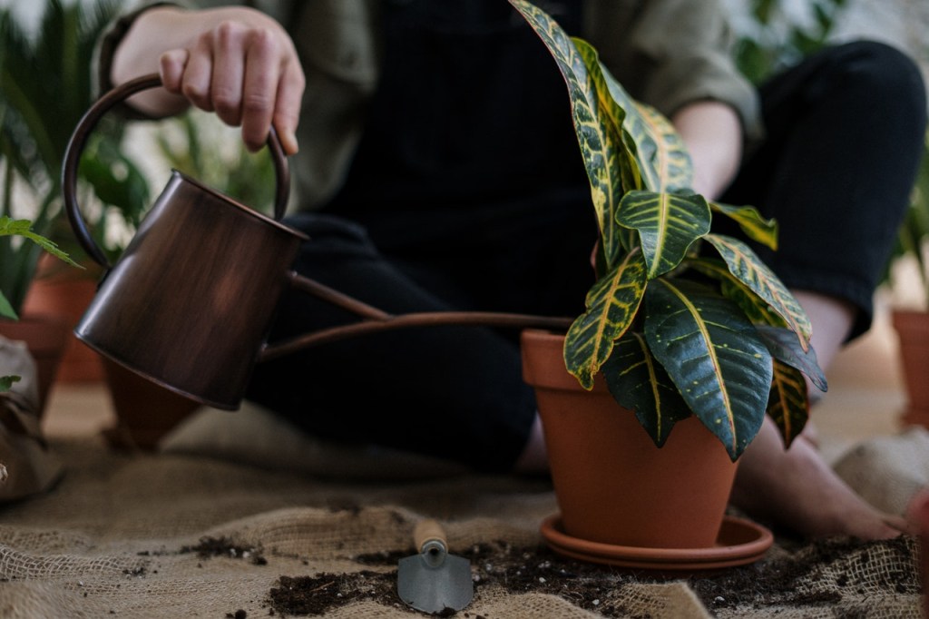 Passo-a-passo-para-preparar-o-solo-das-suas-plantinhas-10