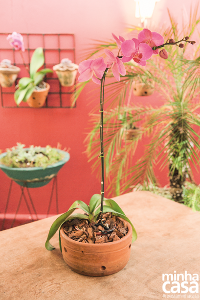 Aqui se cultiva beleza e muito aconchego