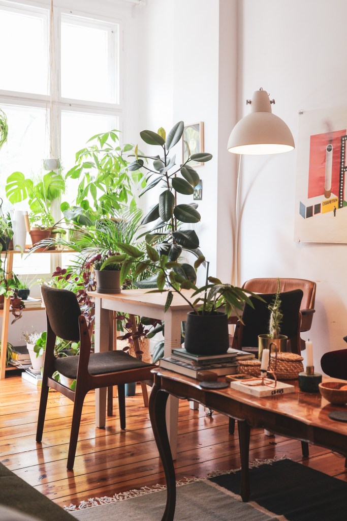 feng-shui-plantas-sala-jantar-beazy-xALgQ6VC8ps-unsplash