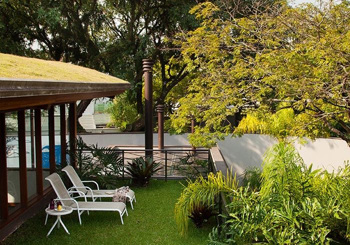 Jardim tropical tem apenas espécies nativas do Brasil