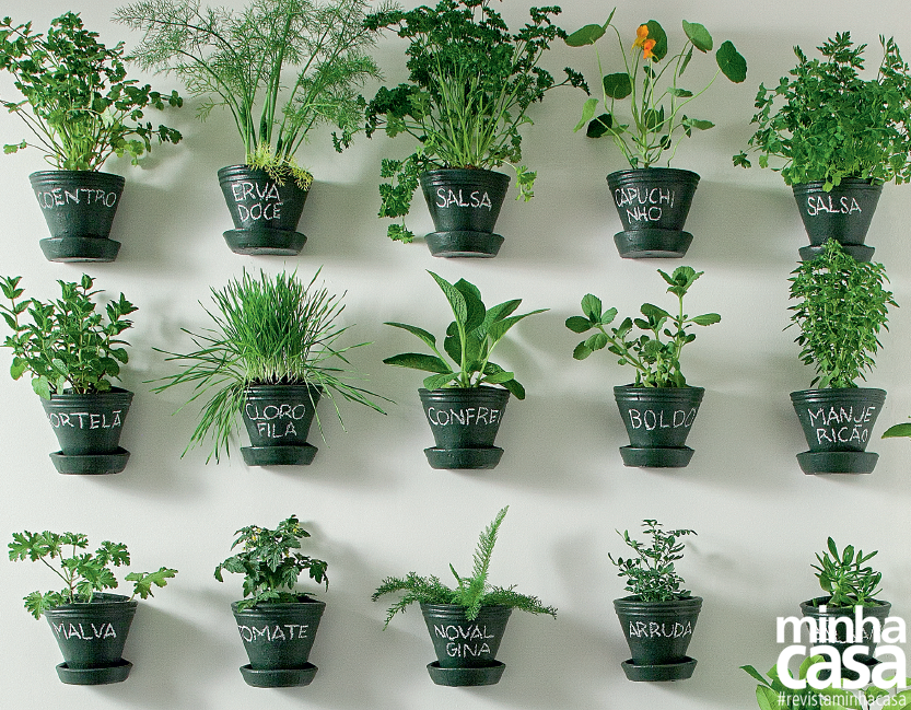 Jardim vertical: 11 ideias para você copiar