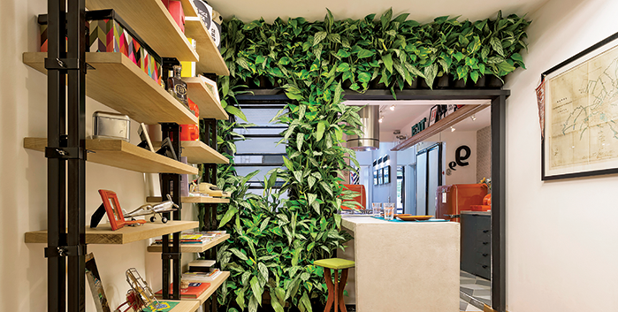 Jardins verticais revolucionam ambientes