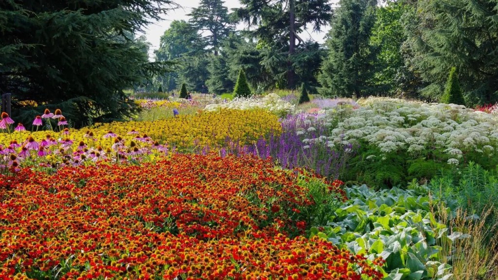 13-ideias-para-criar-um-jardim-sensorial-casacombr-gardeningetc-17