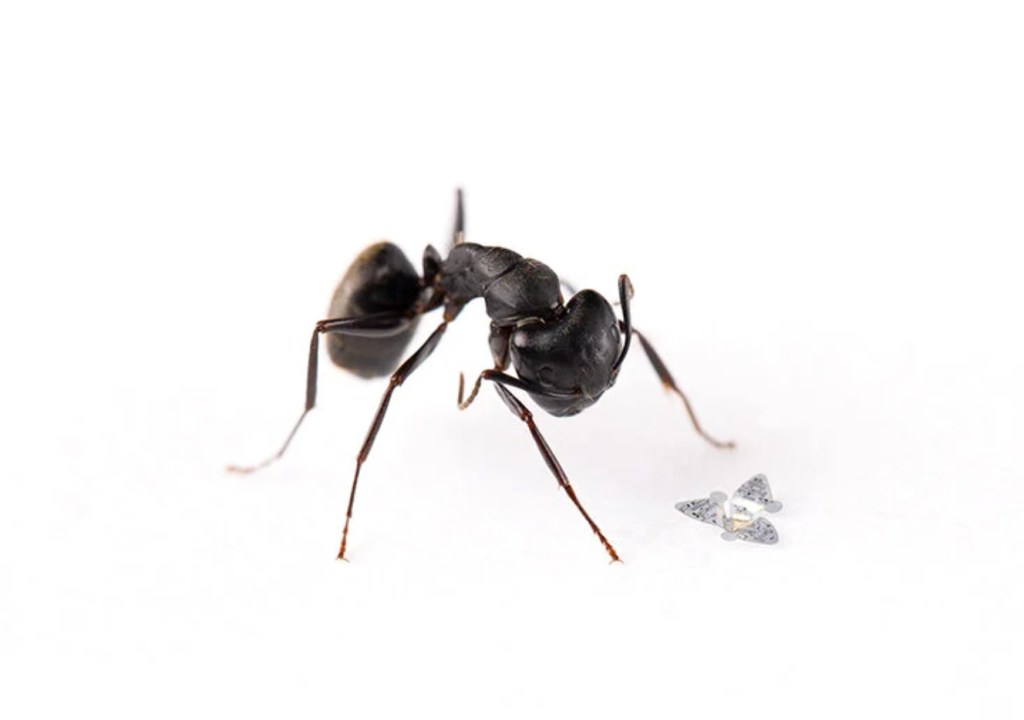 SodaPDF-converted-este-e-um-microchip-voador-que-rastreia-poluicao-e-doencas-casacombr-designboom-2 SodaPDF-converted-este-e-um-microchip-voador-que-rastreia-poluicao-e-doencas-casacombr-designboom-2