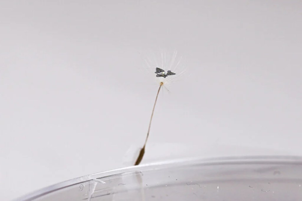 SodaPDF-converted-este-e-um-microchip-voador-que-rastreia-poluicao-e-doencas-casacombr-designboom-3 SodaPDF-converted-este-e-um-microchip-voador-que-rastreia-poluicao-e-doencas-casacombr-designboom-3