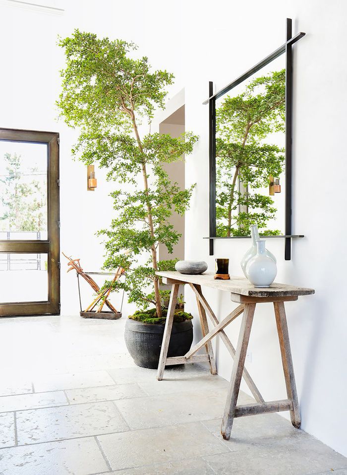 Espaçoso hall com espelho e uma grande planta que atinge o teto do cômodo.