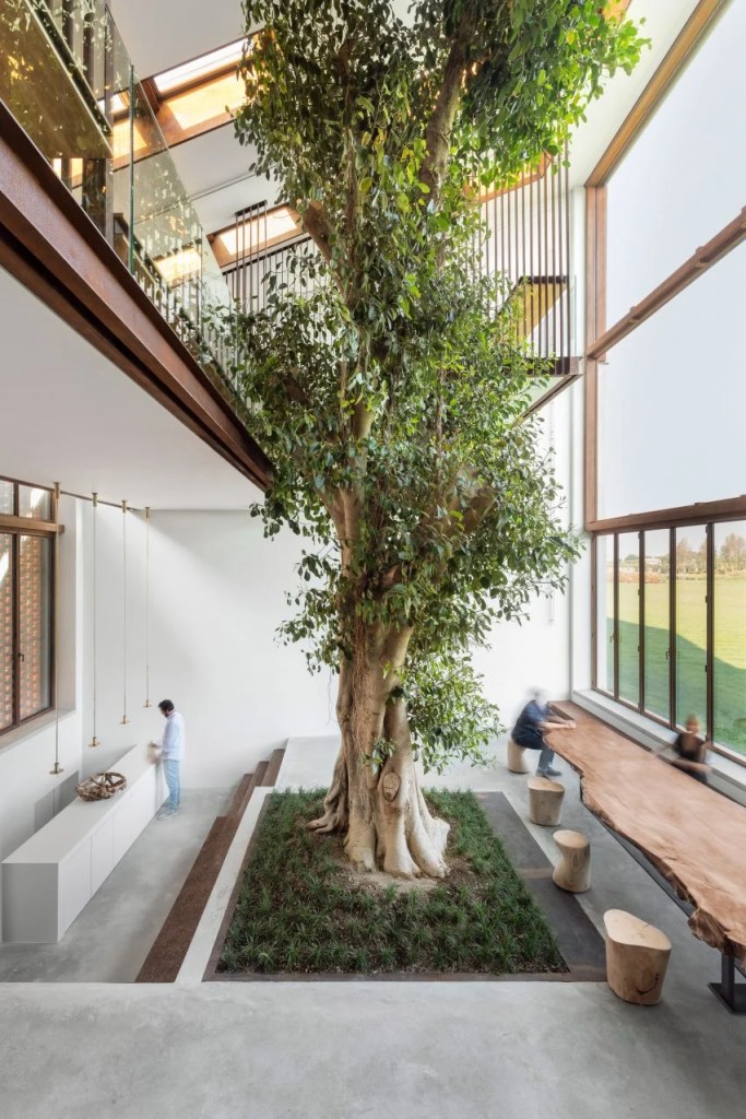 10-projetos-que-tem-arvores-nos-interiores-casa.com-dezeen-5-carlo-ratti-italo-rota-delfino-sisto-legnani-alessandro-saletta-dsl-studio Casa com árvore no interior