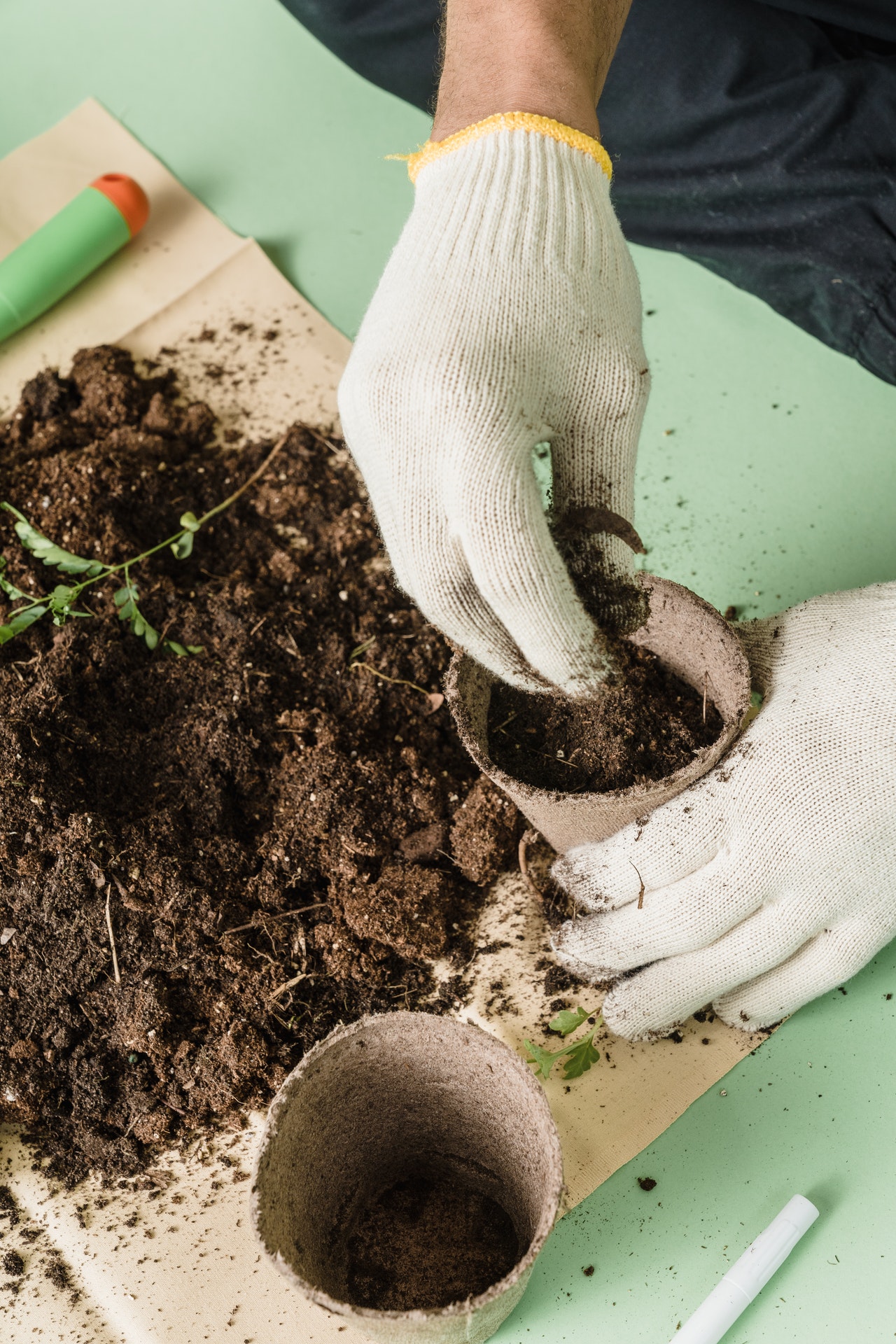 Gongocompostagem: op&ccedil;&atilde;o vantajosa para produ&ccedil;&atilde;o de adubo org&acirc;nico