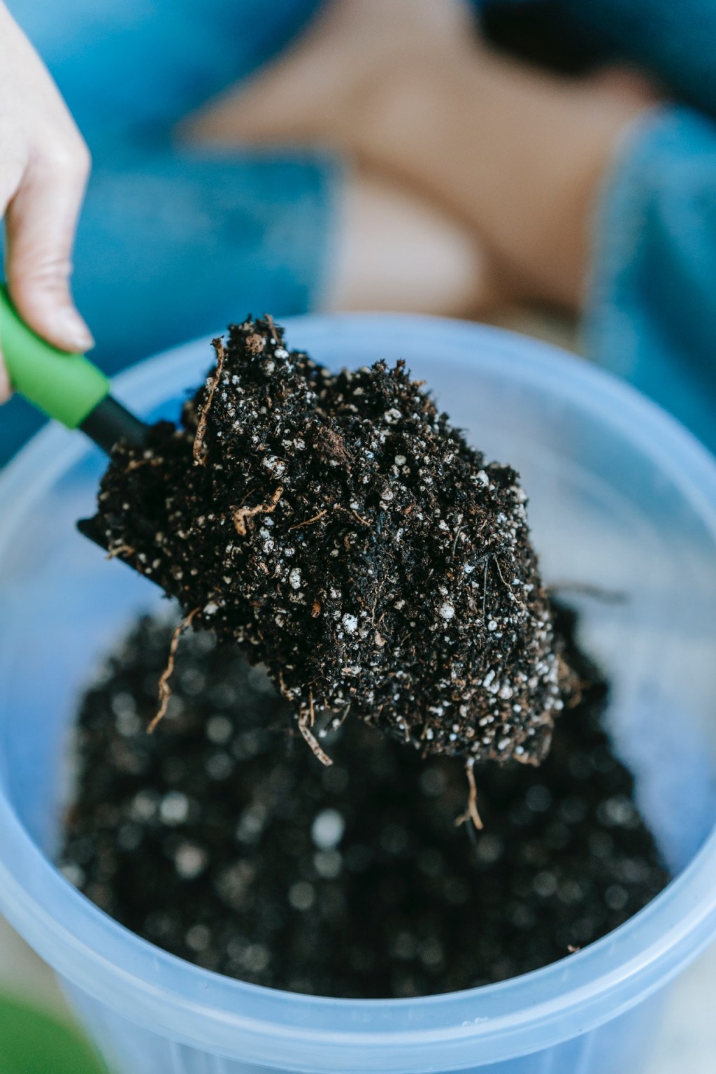Como-plantar-e-cuidar-de-amor-perfeito-11 Como cultivar hortaliças em espaços pequenos