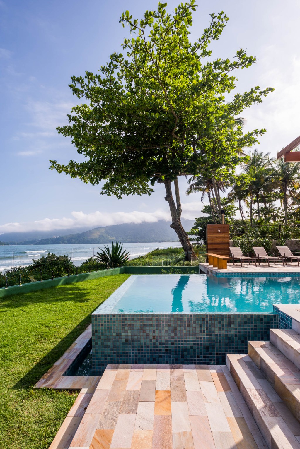 Você-sabe-como-plantar-uma-árvore-04 Árvore em casa na praia