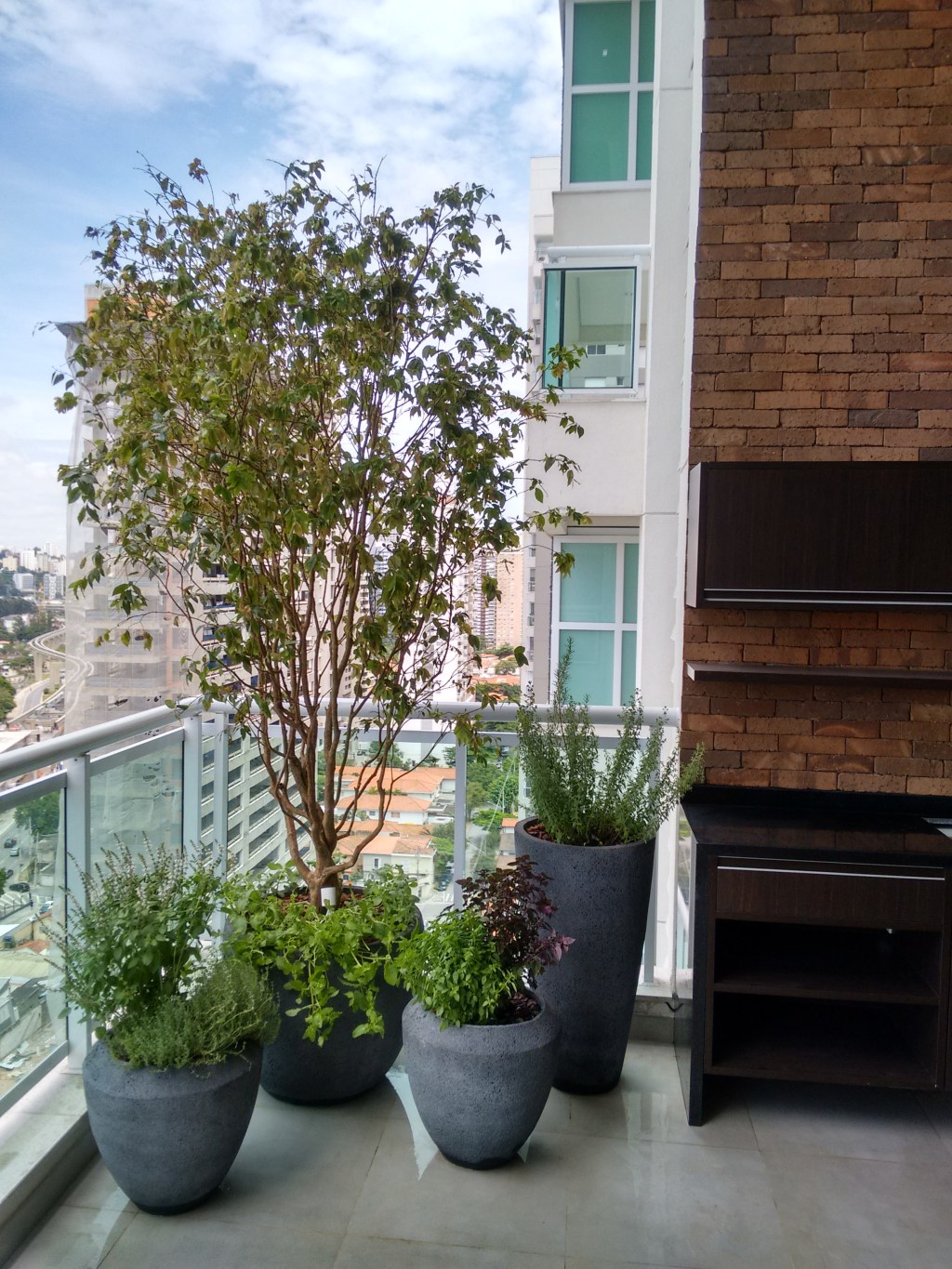 Você-sabe-como-plantar-uma-árvore-05 Árvore em varanda de apartamento