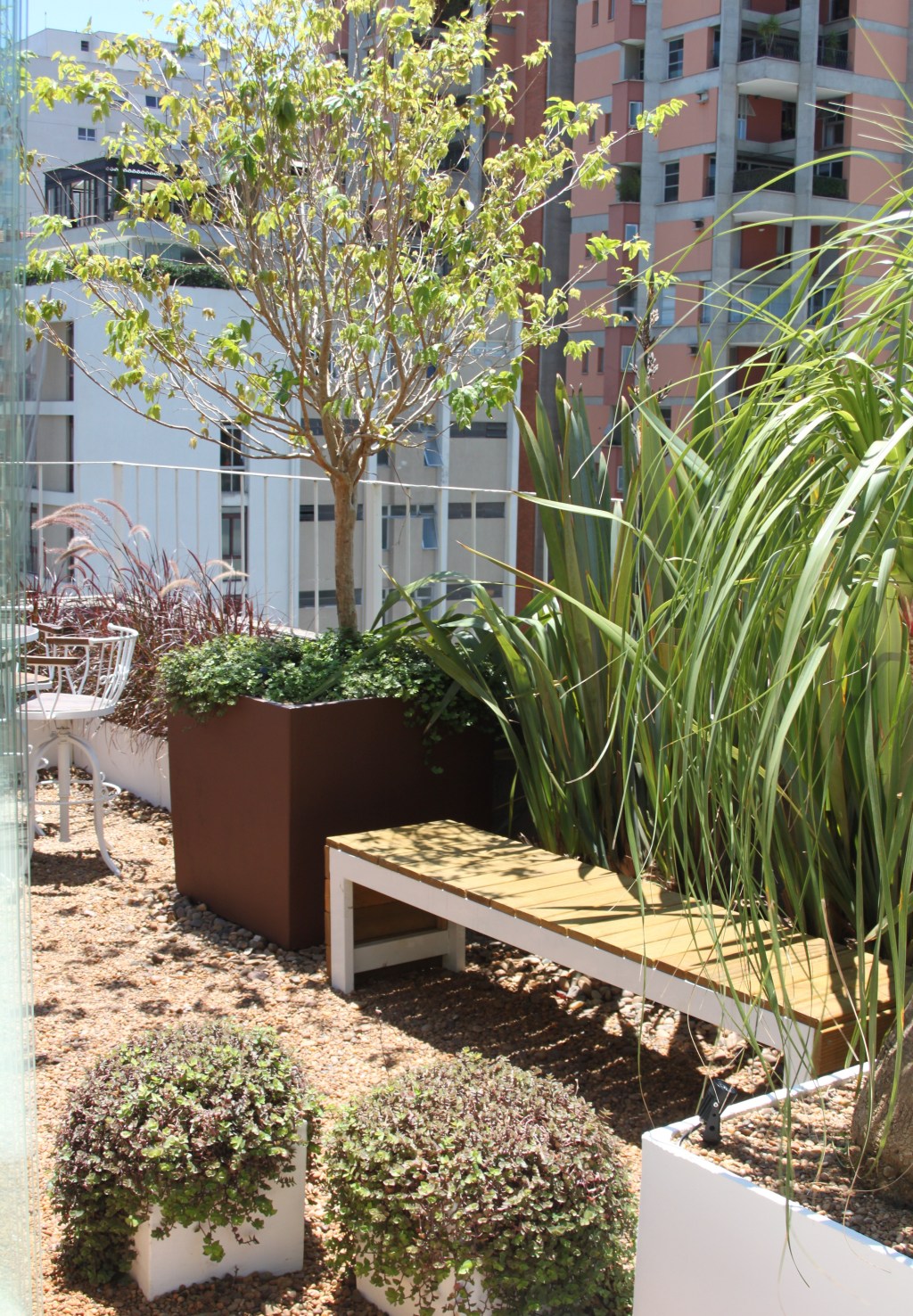 Você-sabe-como-plantar-uma-árvore-06 Árvore em quintal de apartamento