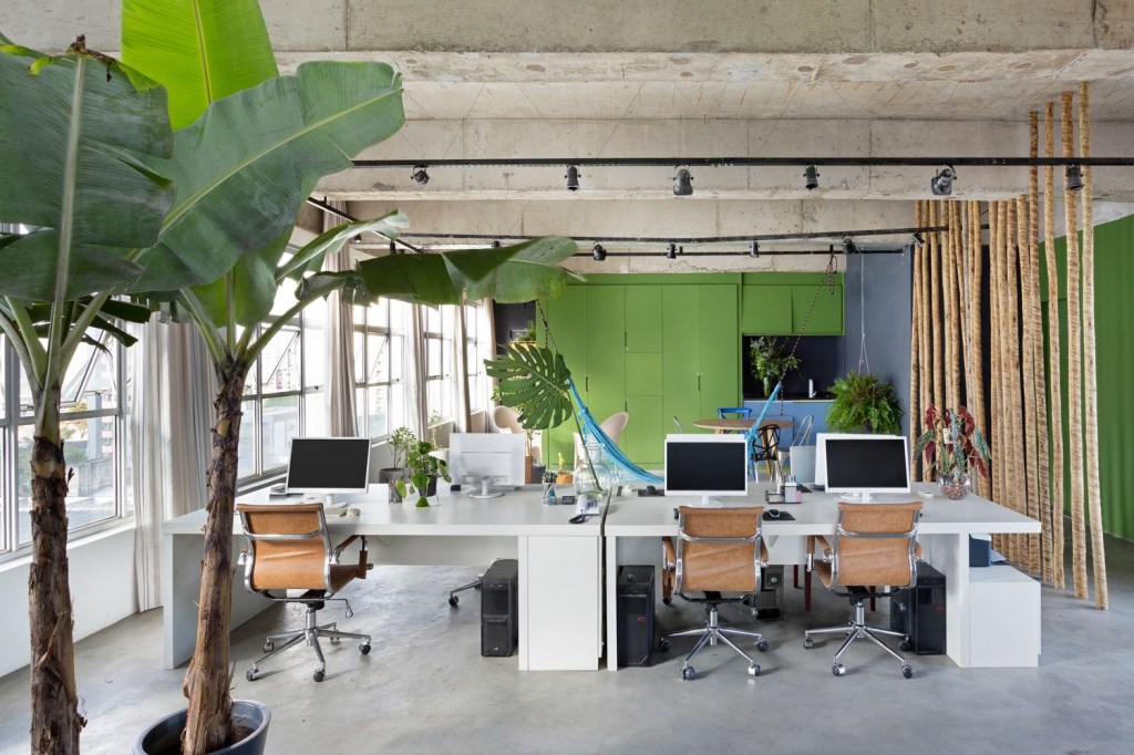 Escritório com diversas mesas com computadores, com vasos de bananeiras decorando a sala e armário verde ao fundo.