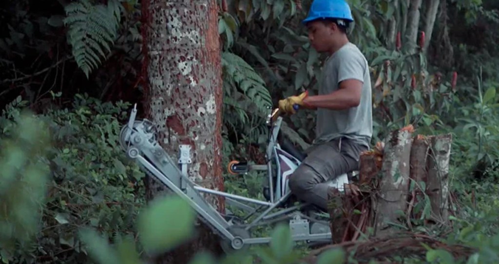 bicicleta-de-escalar-arvores-designboom-03 Trabalhador subindo palmeira com a bicicleta