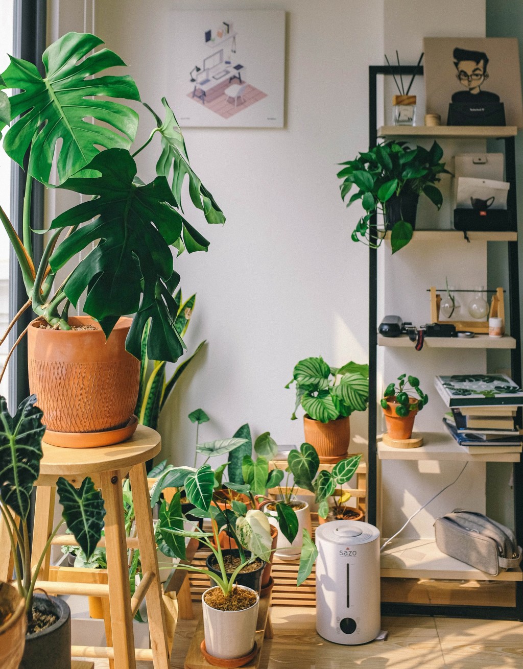 como-escolher-vasos-e-cachepots-plantas-folhagens-huy-phan-dM317CbttyY-unsplash Vasos com plantas
