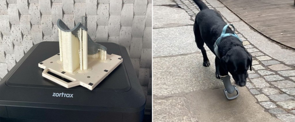 Duas fotos justapostas. Na primeira, prótese impressa em 3D. Na segunda, Leto, cachorro de médio porte todo preto, em sua primeira caminhada com a prótese impressa em 3D. Ela á uma peça cinza encaixada ao membro esquerdo da frente.