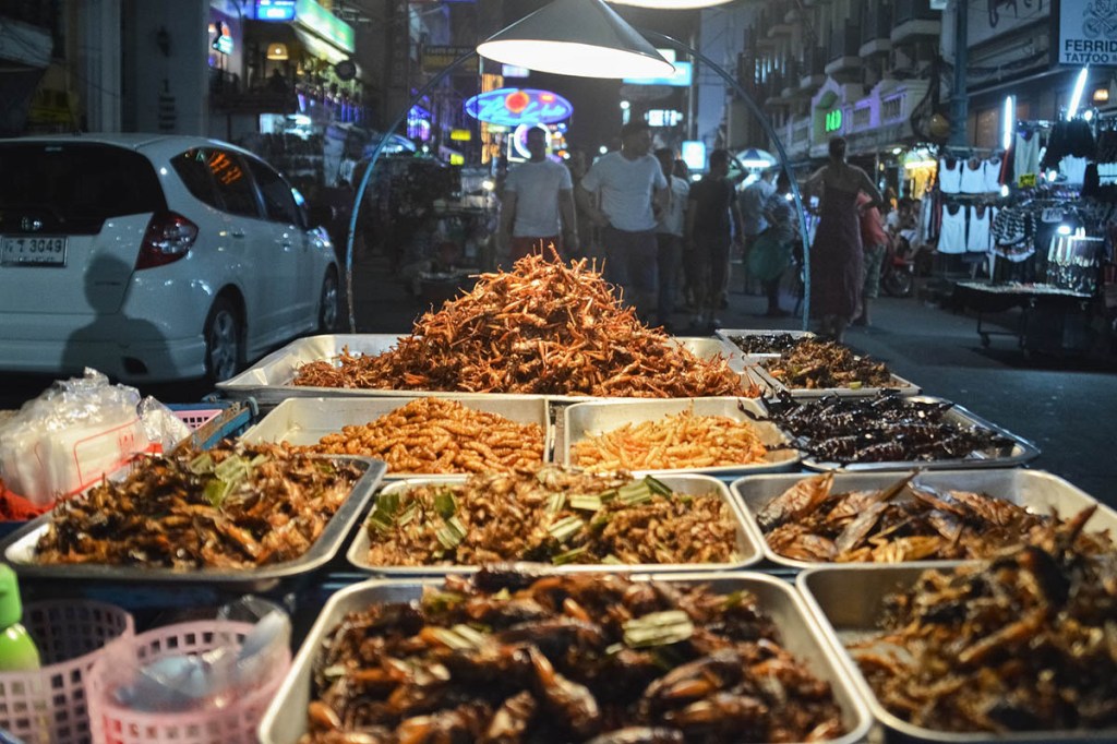 carne-insetos-ciclo-vivo-Jeremy Bezanger-Unsplash Insetos em bandejas