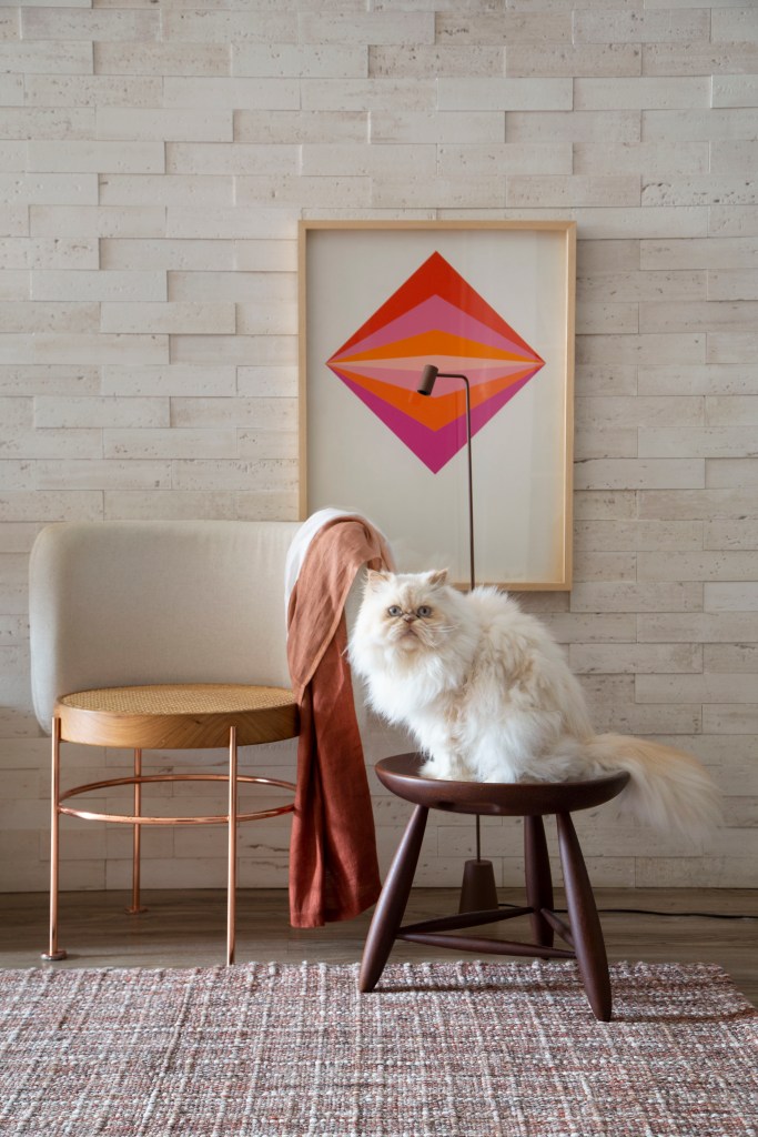 leve-contemporaneo-ape-antigo-62m-studio-leandro-neves-fotos-denilson-machado-poltrona-quadro-gato Poltrona com manta; banquinho de madeira; quadro; gatinho