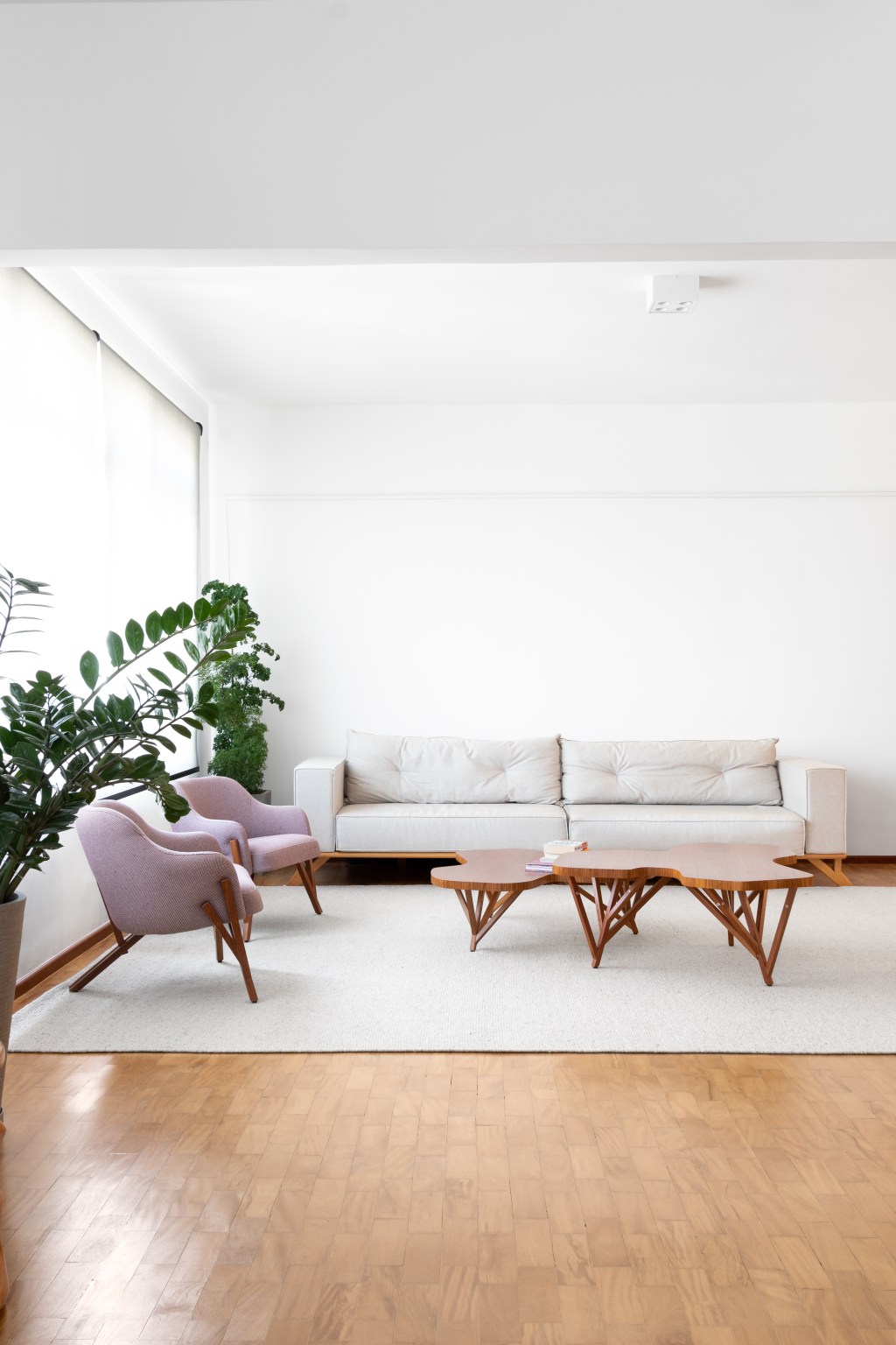 Sala de estar neutra com vasos de plantas na lateral