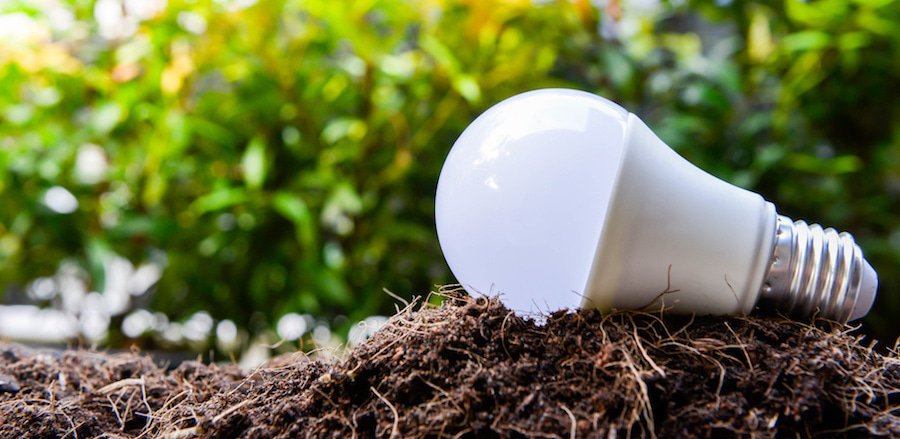 como-fazer-descarte-correto-lampadas-led-any-lamp Lâmpada de led sobre terra com plantas ao fundo