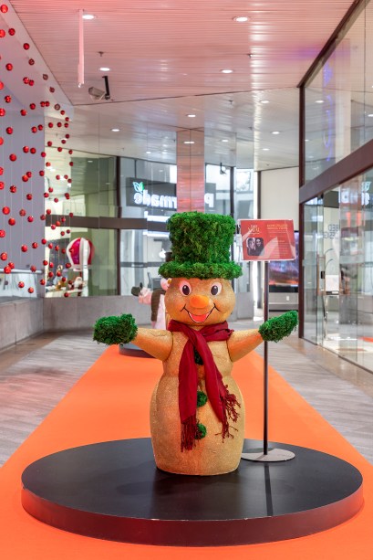 Aline Celles e Benisia Vieira - Boneco Feliz. Aline Celles e Benisia Vieira - Boneco Feliz.