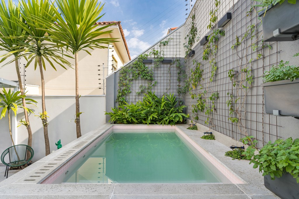 casa-ganha-lounge-externo-com-piscina-elevada-jardim-vertical-e-fogueira-bia-hajnal-cadulopes-jardim-piscina (16) Casa lounge externo Bia Hajnal área externa jardim vertical plantas piscina plantas trepadeira