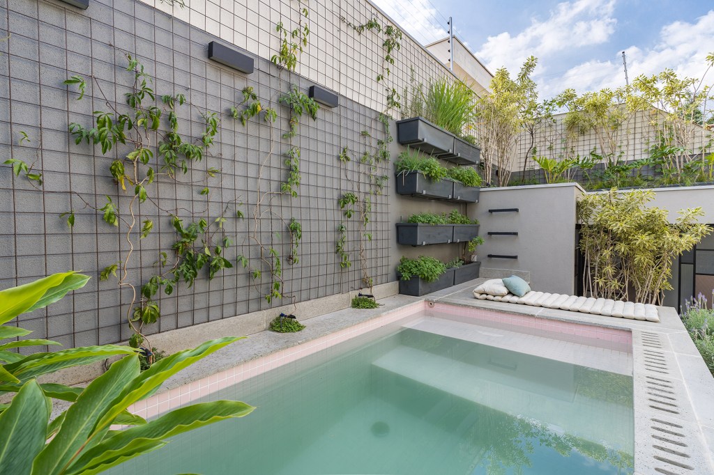 casa-ganha-lounge-externo-com-piscina-elevada-jardim-vertical-e-fogueira-bia-hajnal-cadulopes-jardim-piscina (18) Casa lounge externo Bia Hajnal área externa jardim vertical plantas edicula trepadeira piscina vaso