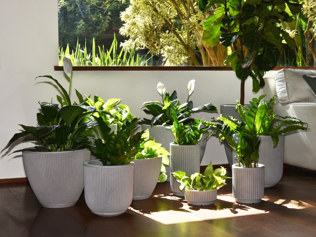 Jardim; plantas; apartamento pequeno; varanda; vasos brancos.