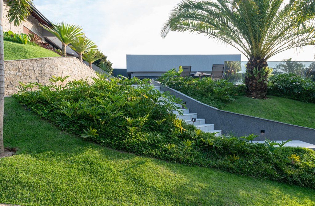 jardim-tropical-1500-m2-vegetacao-tropical-volumes-diferentes-renata-guastelli-credito-miro-martins (13) Jardim tropical 1500 m² vegetação tropical Paisagismo Renata Guastelli plantas paisagismo