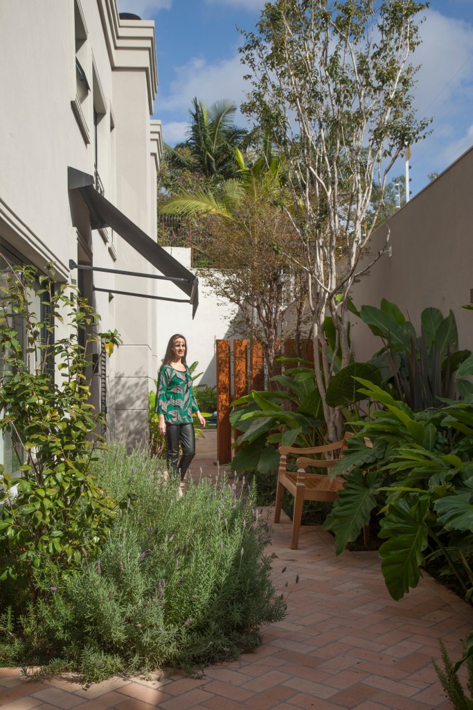 Jardim com folhagens e jabuticabeira.