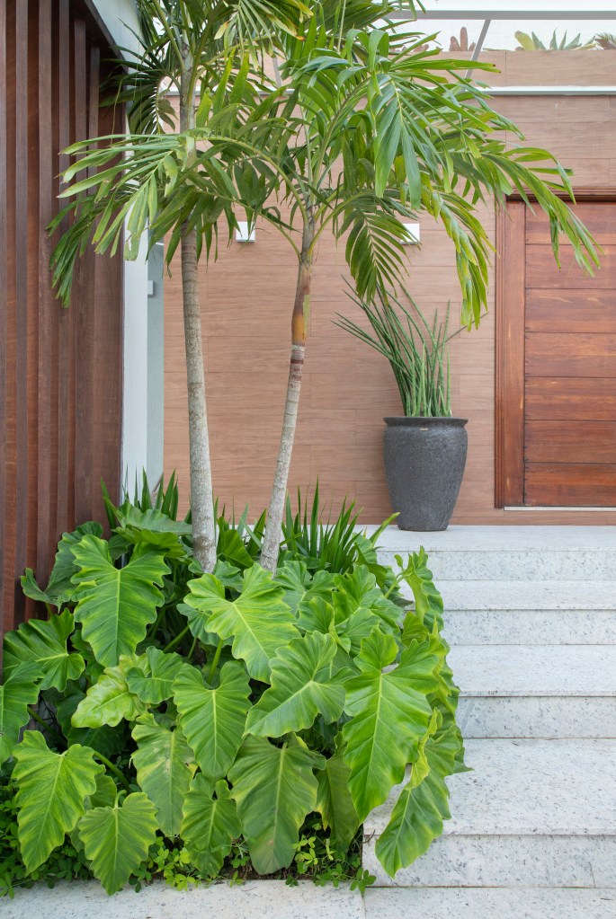 Entrada de casa com jardim.