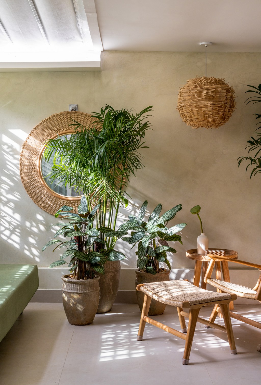 4 plantas para os cantinhos mais escuros da sua casa