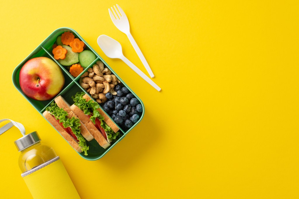 Organic,School,Lunch,Presentation.,Top,View,Exhibiting,Eco-conscious,Lunchbox,Filled Volta às aulas: 5 dicas e cardápios para lancheiras saudáveis