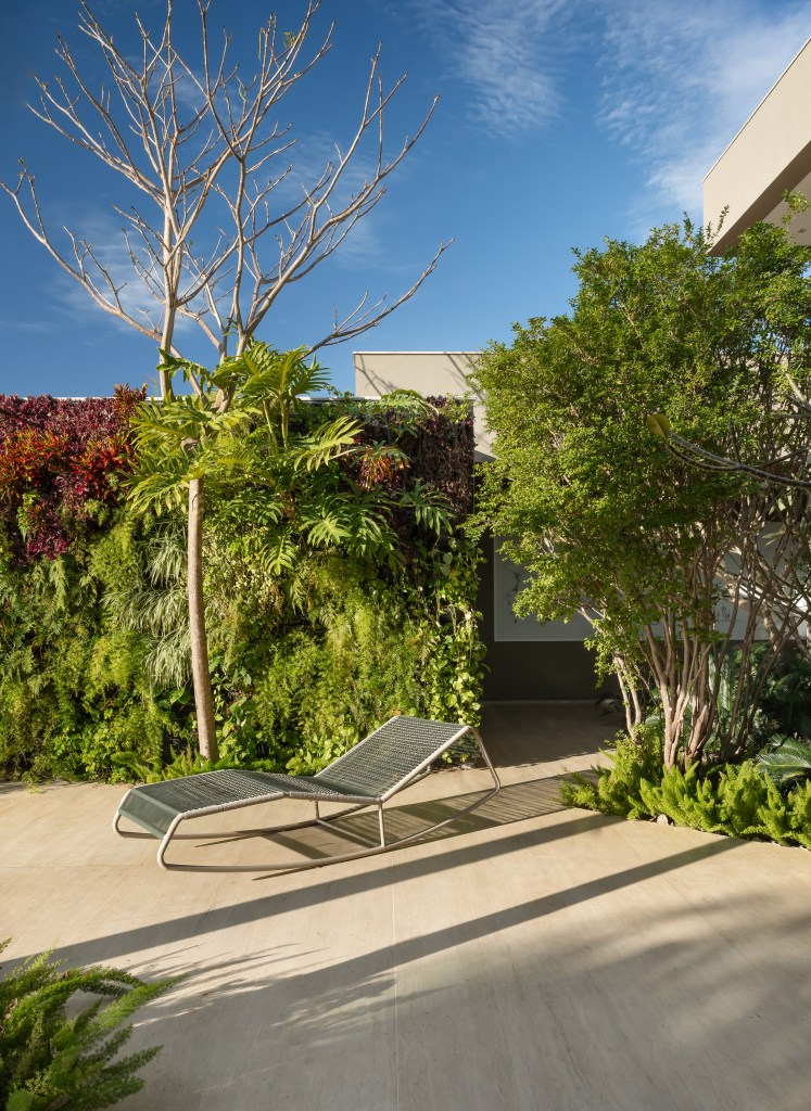 casa-erguida-do-zero-duas-cozinhas-madeira-ripada-rf-arquitetura-02-jardim Casa erguida do zero ganha duas cozinhas e muita madeira ripada. Projeto de RF Arquitetura. Na foto, jardim com folhagens e árvores.