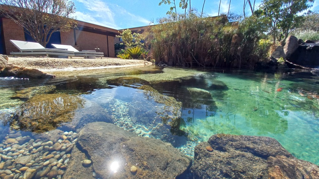 Você conhece a piscina biológica?