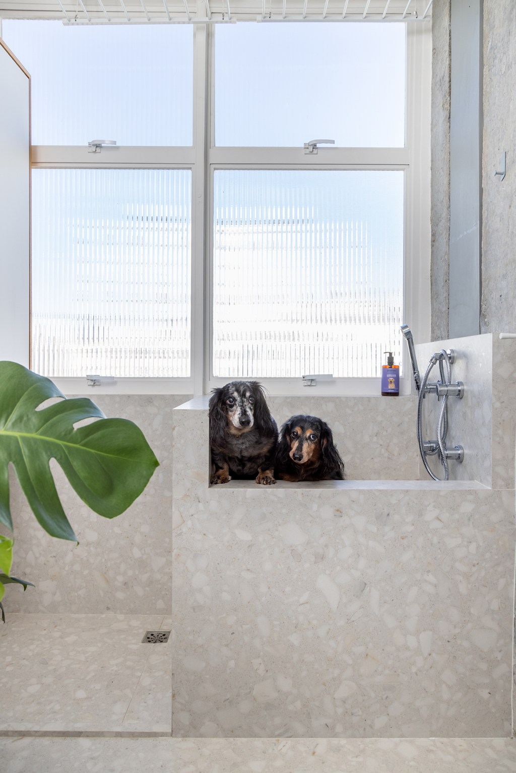 Apê dos anos 1960 é modernizado com dog shower e pilar no meio da sala